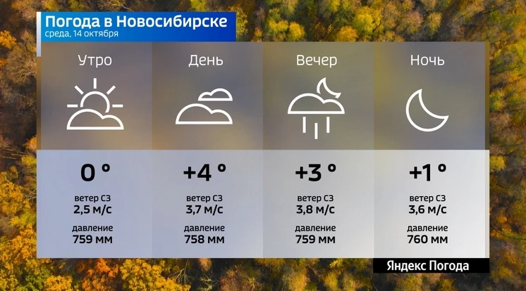📌 Прогноз погоды на 14 октября 2026 года в Новосибирской области.