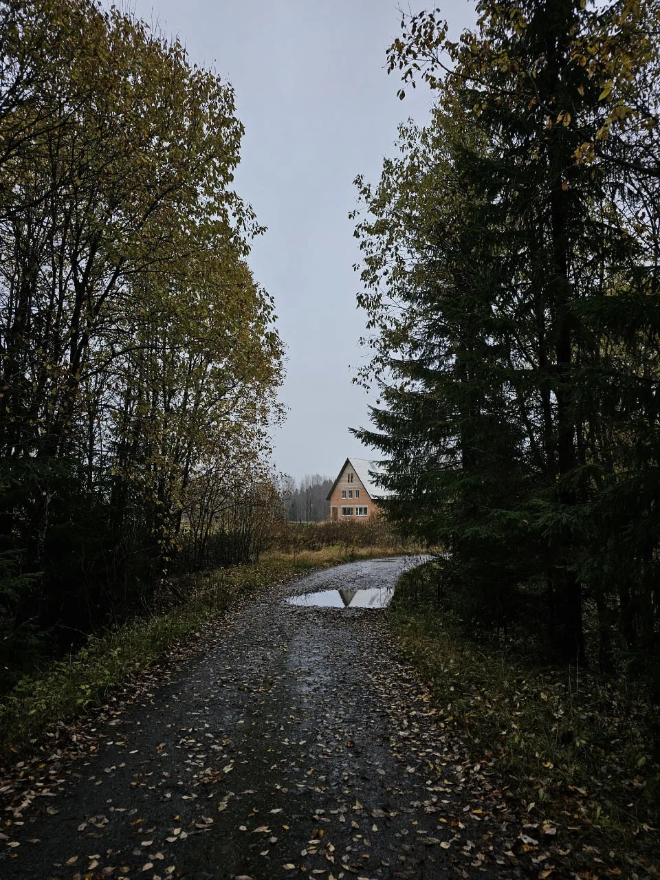 🌧🍂 Осень в Карелии — время меланхоличное и загадочное