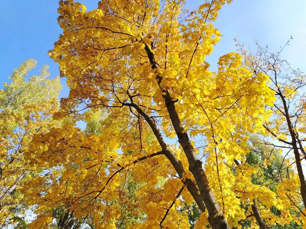 🍁Осень в городе