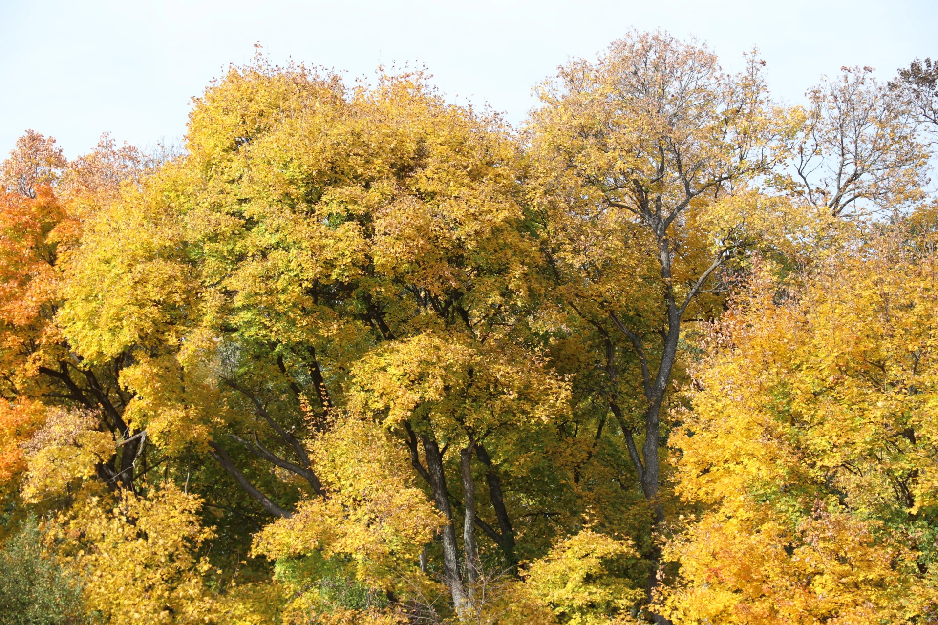 🍂 Край, в котором мы живём…