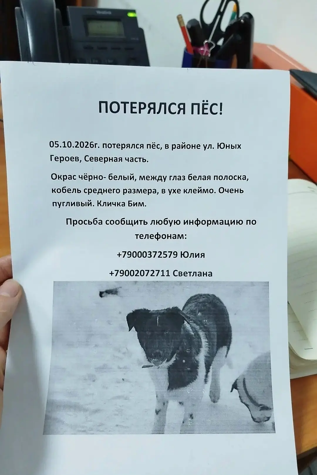 Друзья кому не сложно выставите в статус если есть друзья знакомые с Алапаевска Режа В....