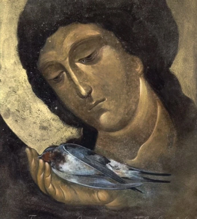 🕊Ласточка — символ души, ищущей небесного приюта. Она не строит гнезда на земле, но ле...