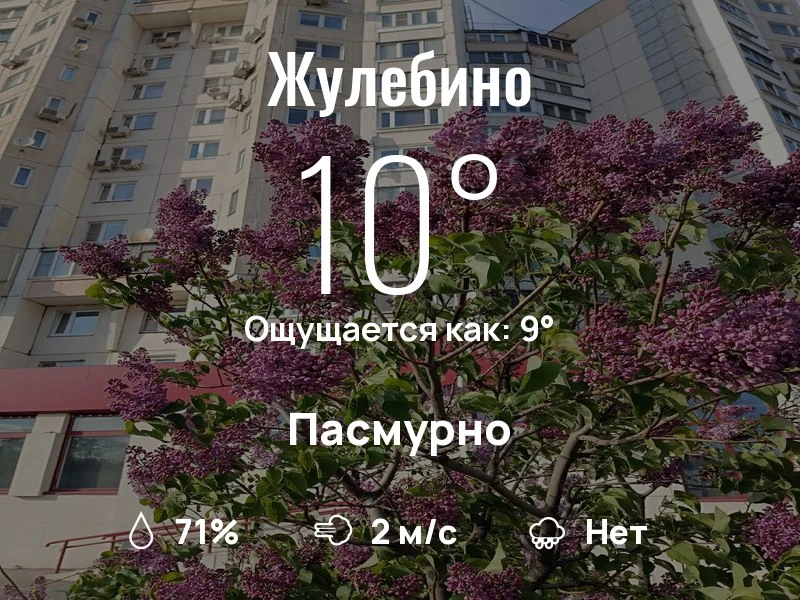 Что с погодой в Жулебино?
