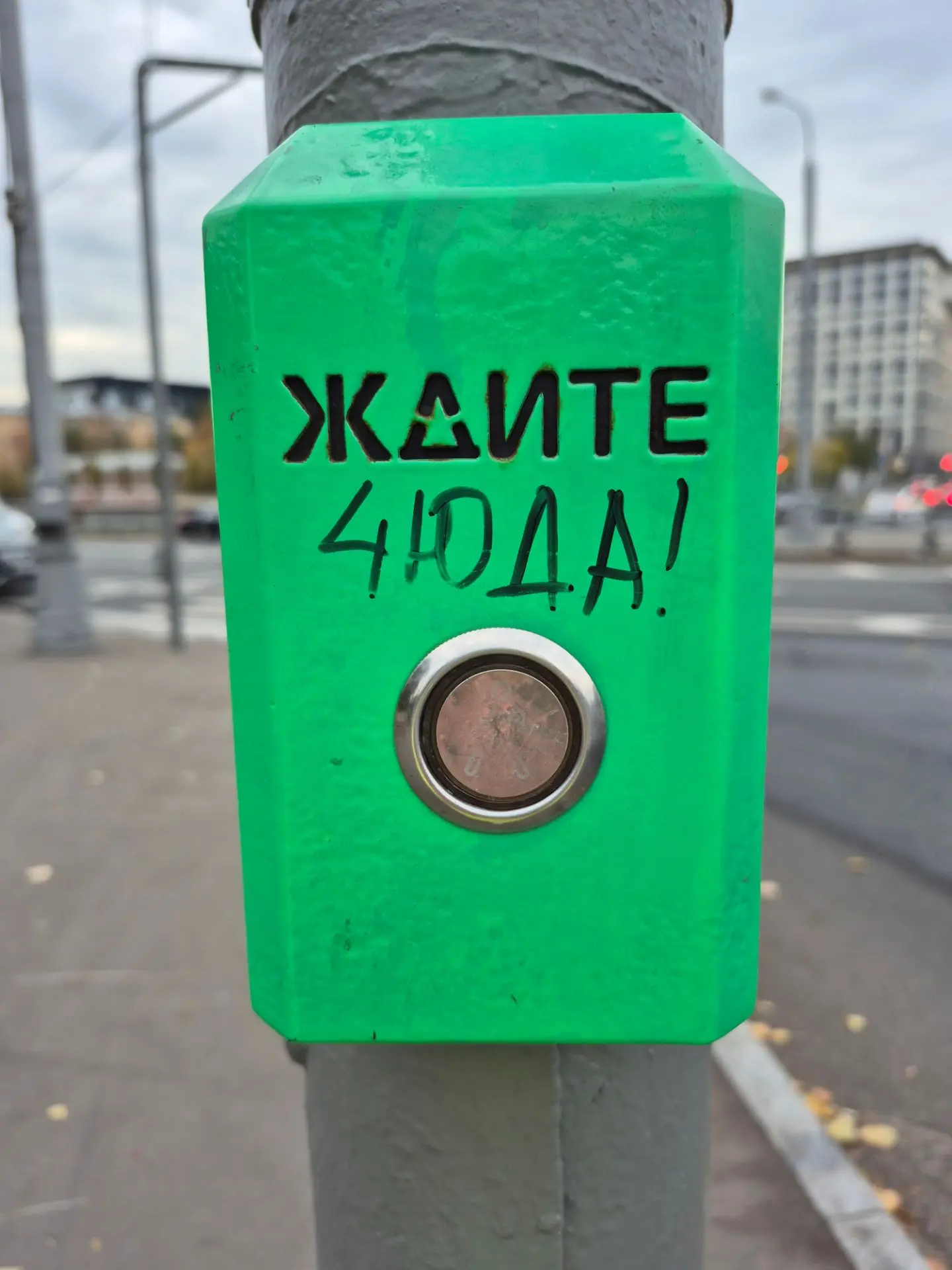 Дорогие мои!