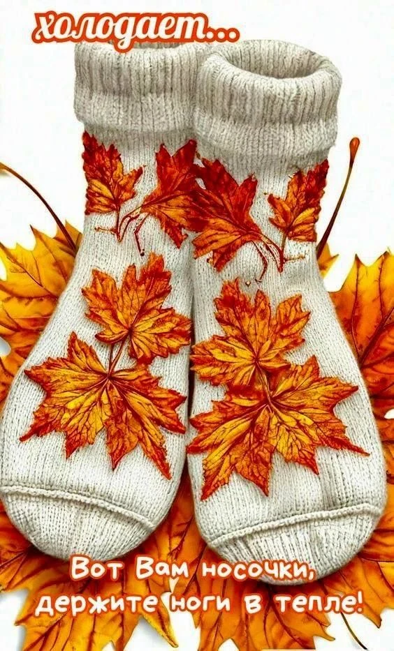 🍁🍁🍁