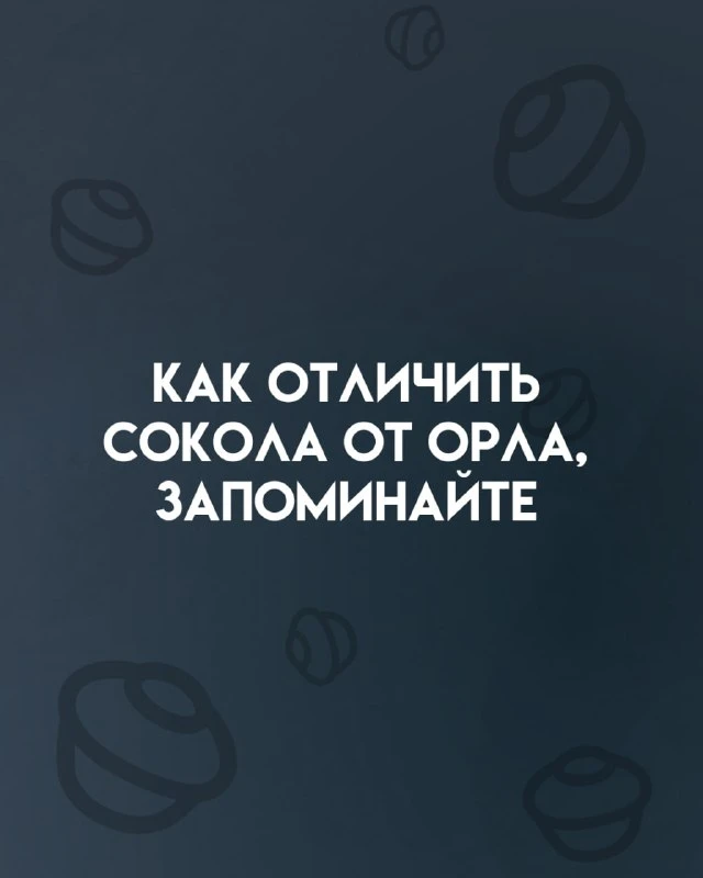 ✨ Так понятнее, спасибо