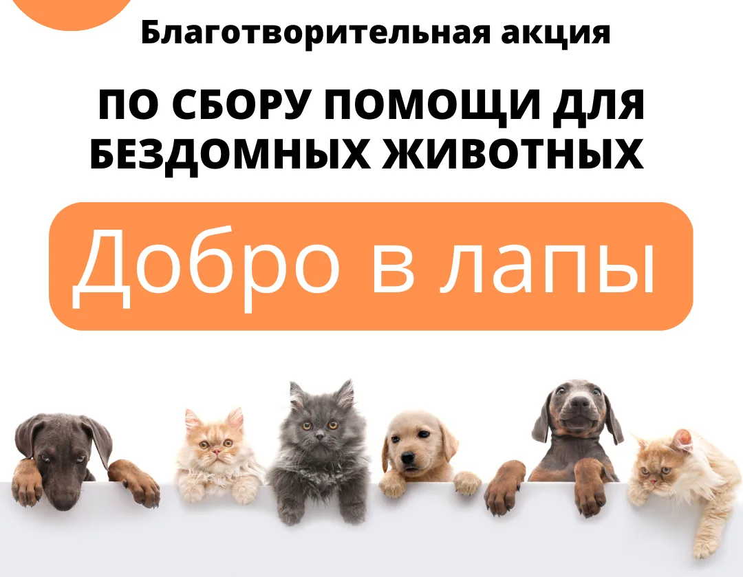 🐾4 октября — Всемирный день защиты животных!