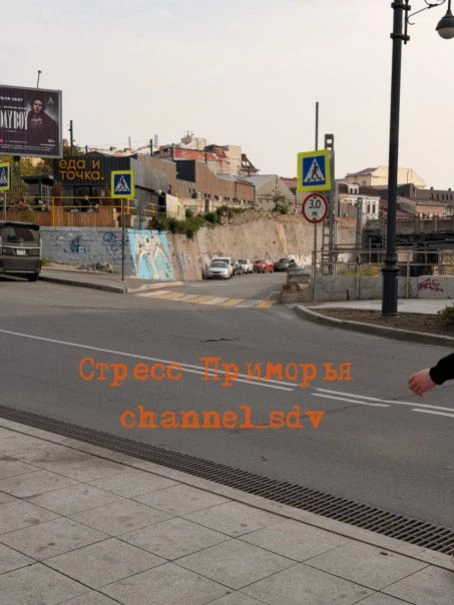 Змея сегодня переползла дорогу в неположенном месте во Владивостоке в районе Эгершельда.