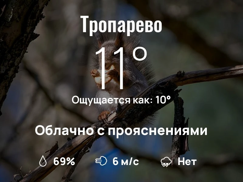 Что с погодой в Тропарево?