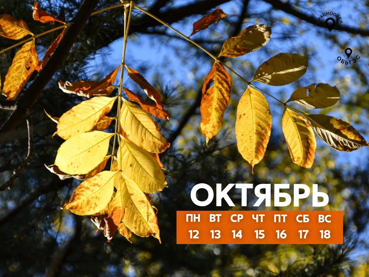 🗓 12 – 18 ОКТЯБРЯ