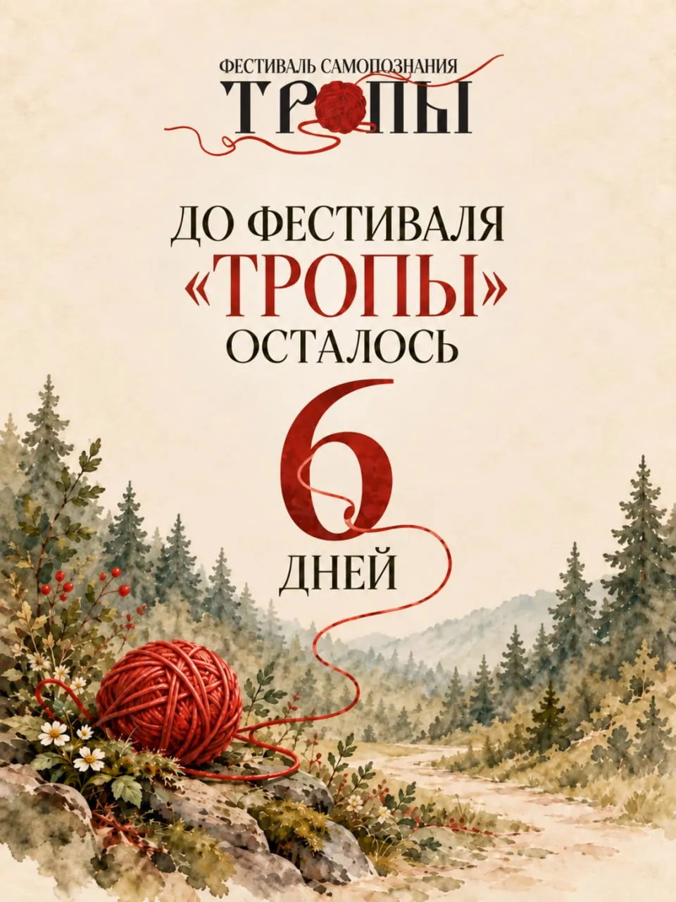 🧶 6 дней