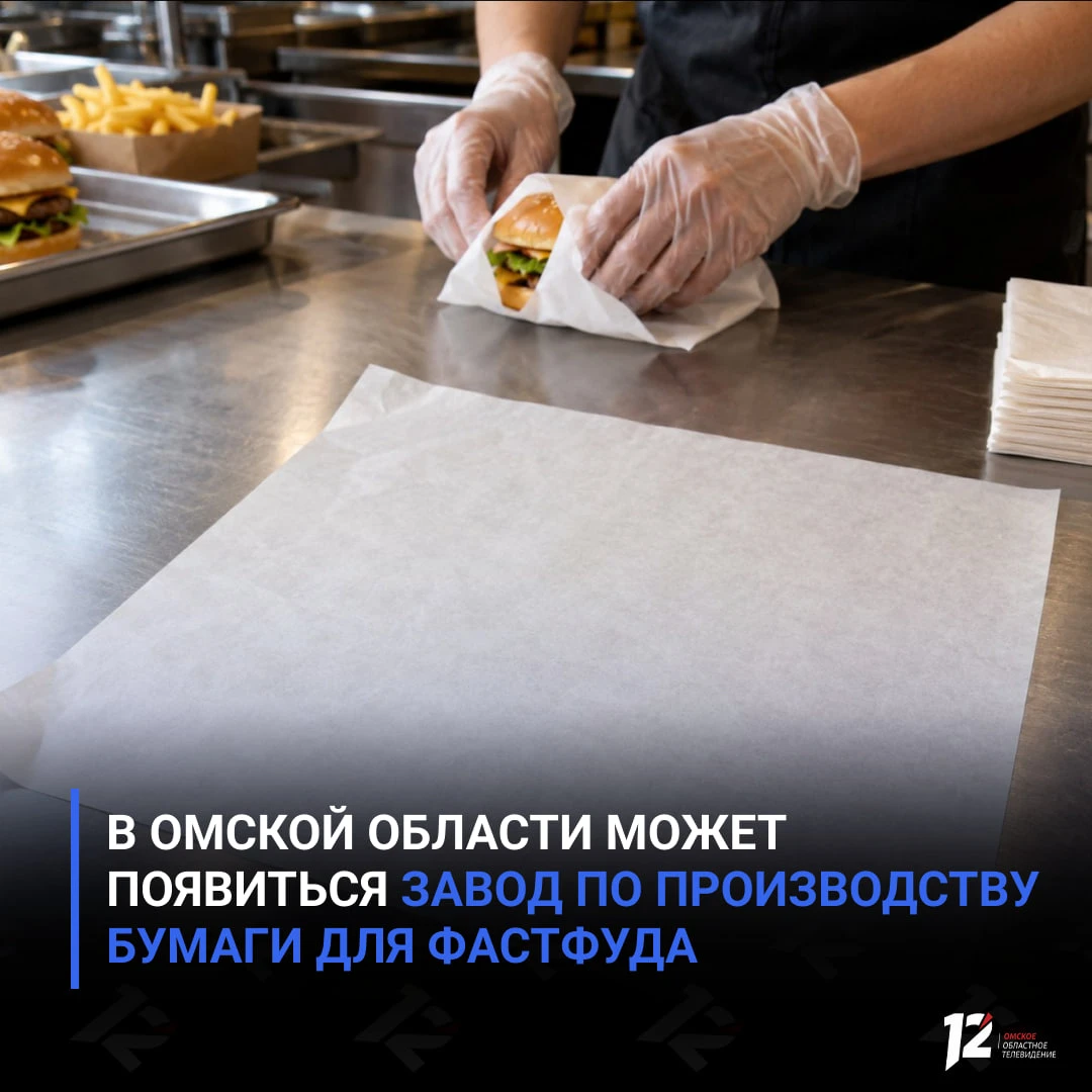 📄 В Омской области может появиться завод по производству бумаги для фастфуда