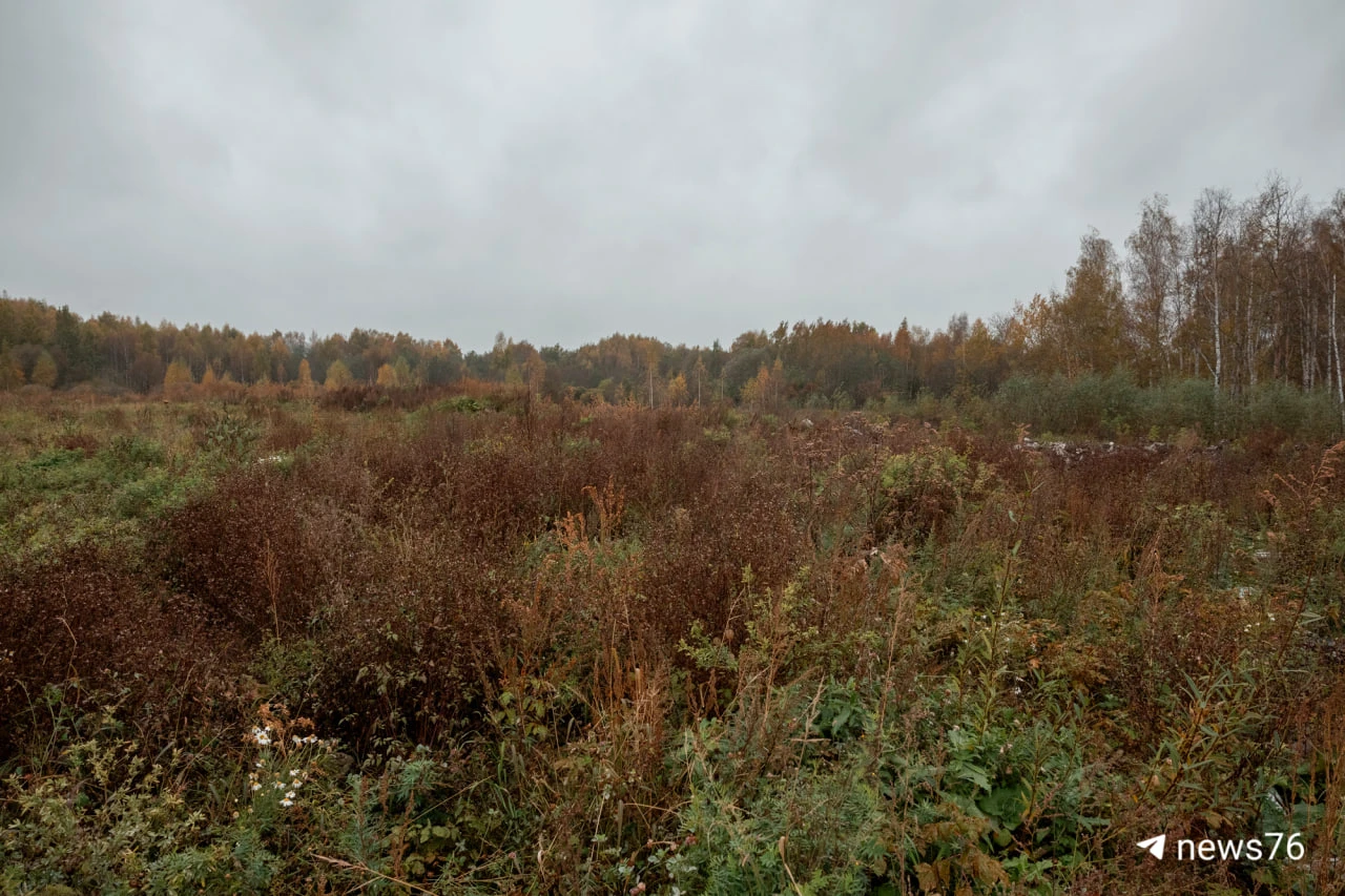 📍Новое кладбище появится в Ярославле на улице Гагарина. Смотрим, что сейчас на месте б...