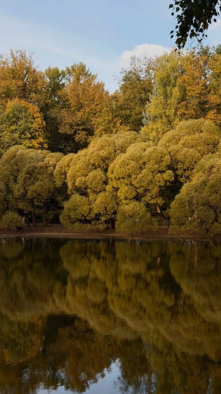 — Локации Москвы, где можно зарядиться 🍂 осенним вайбом 🍂