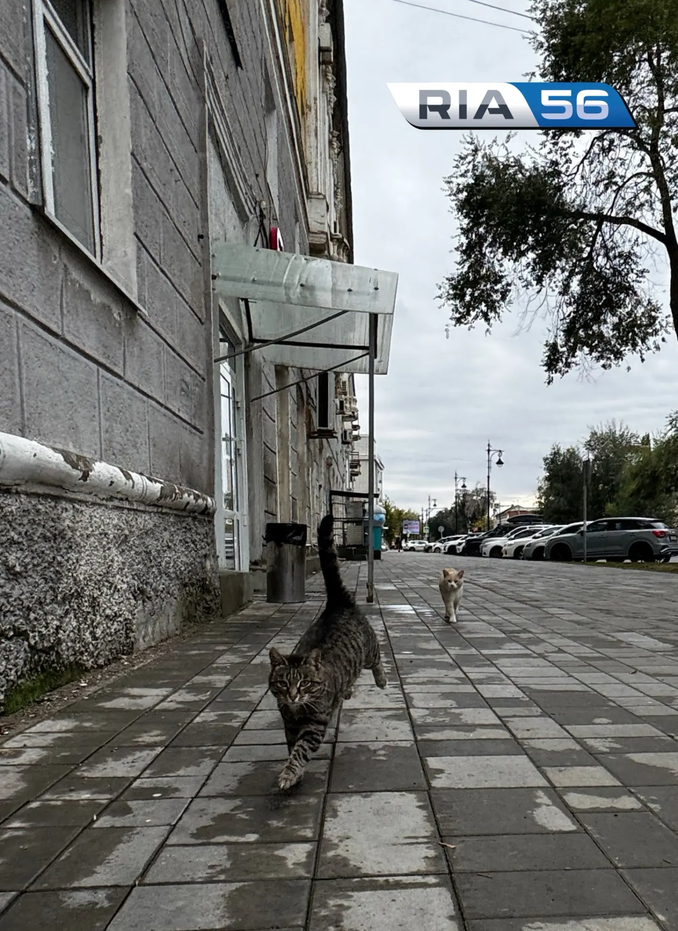 ✅ 21 октября, среда