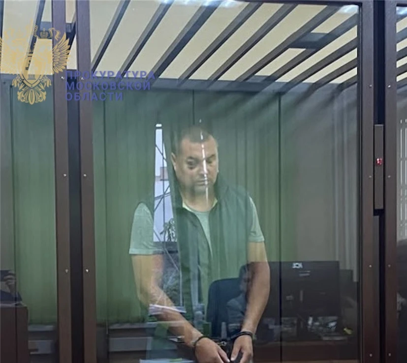 В Домодедово избрана мера пресечения водителю грузовика, обвиняемому в смертельном ДТП