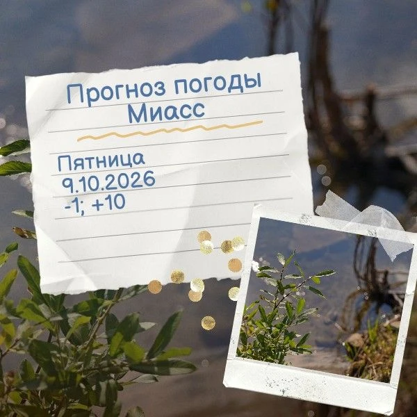 Доброе утро, друзья.