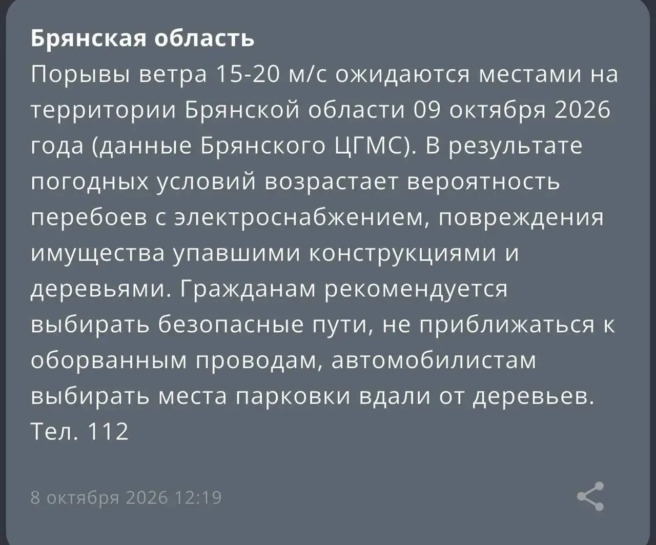 Порывы ветра 15-20 м/с ожидаются местами на территории Брянской области 09 октября 2026...