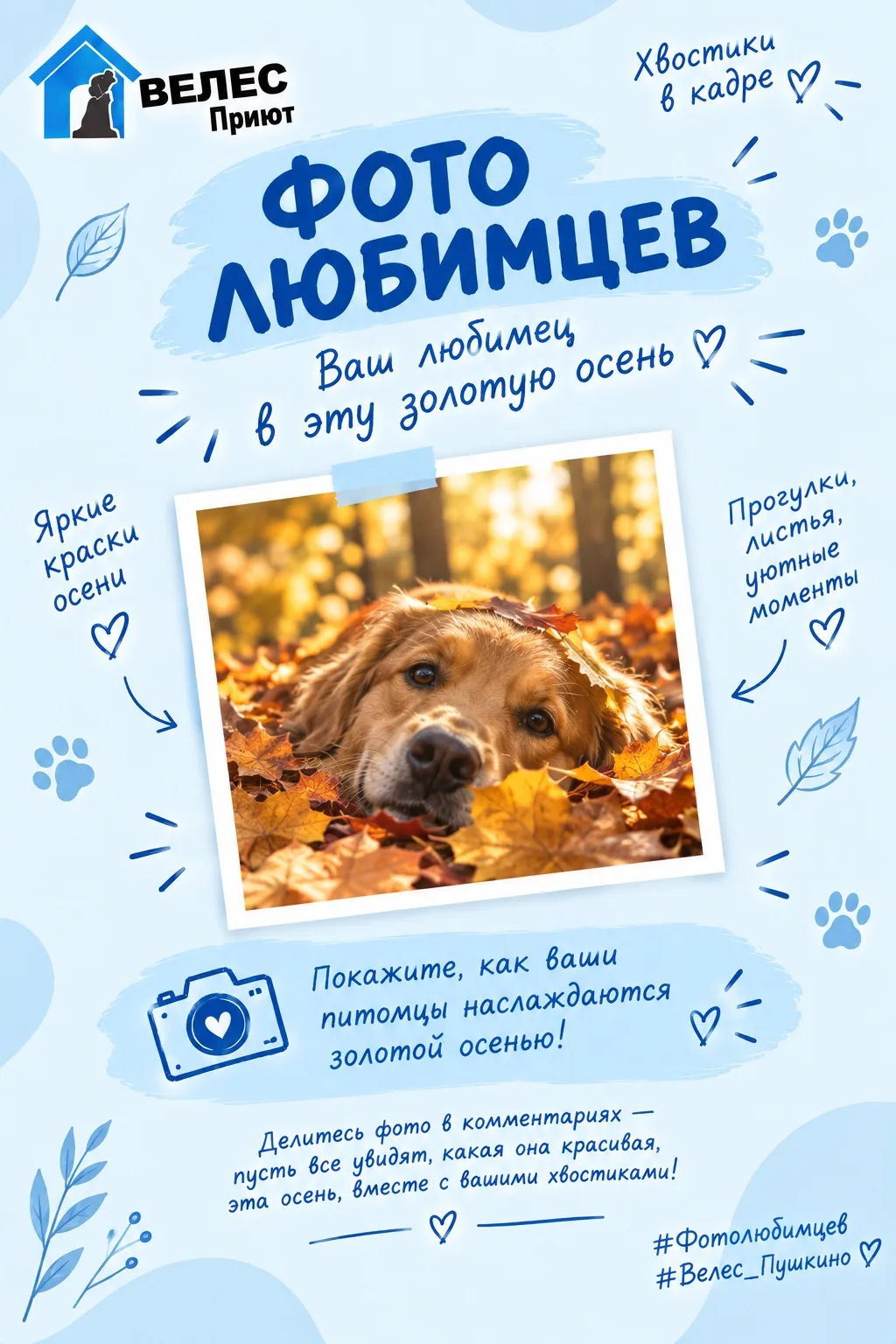 Золотая осень, шуршащие листья и любопытный нос, который обязательно нужно засунуть в с...