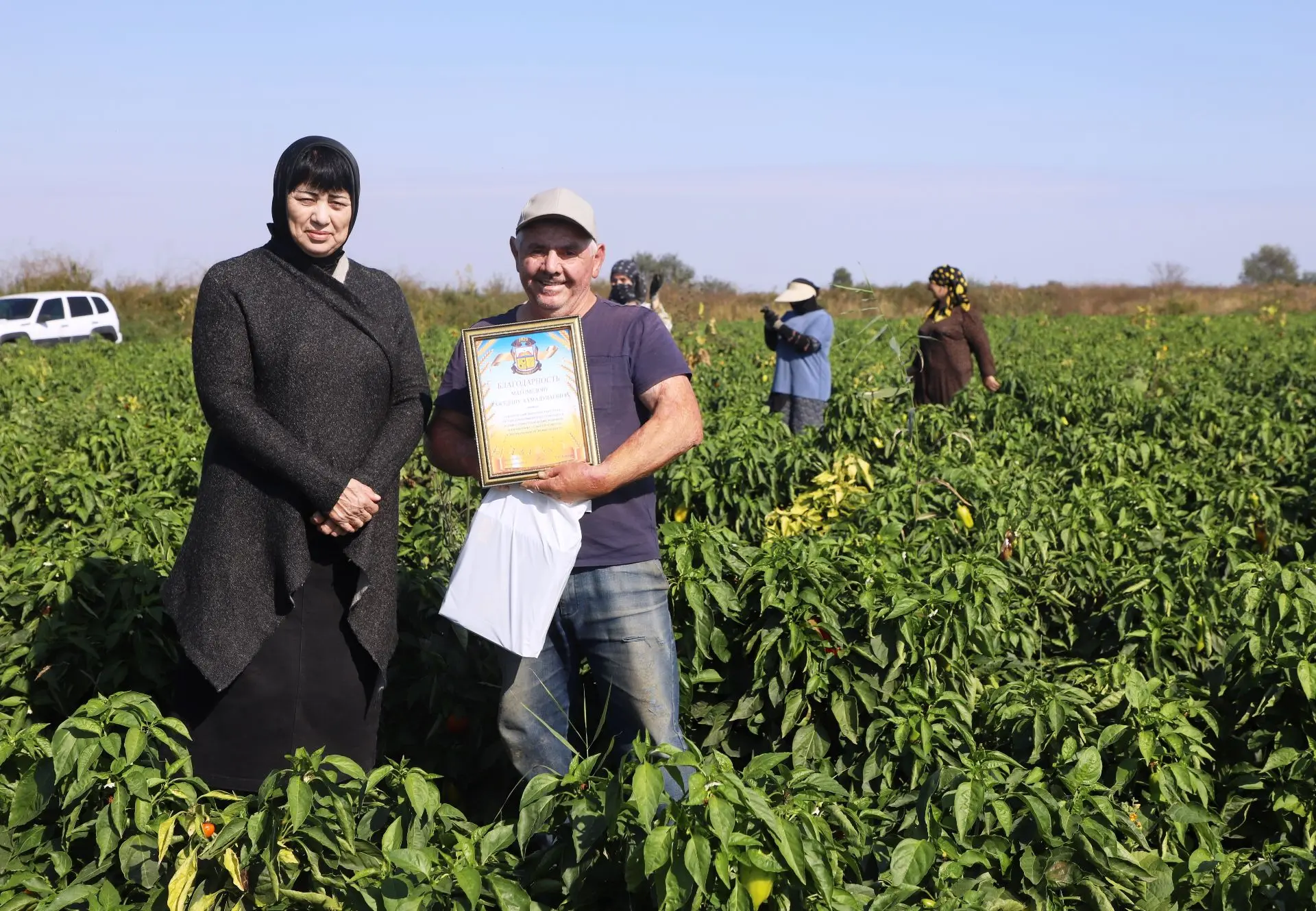 🌾 Работников сельского хозяйства и перерабатывающей промышленности поздравили с профес...