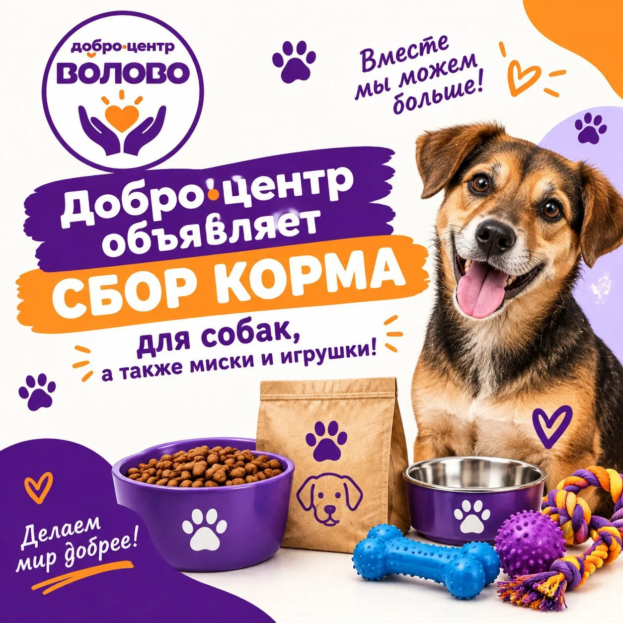 Наш Добро.Центр открывает сбор корма для животных!