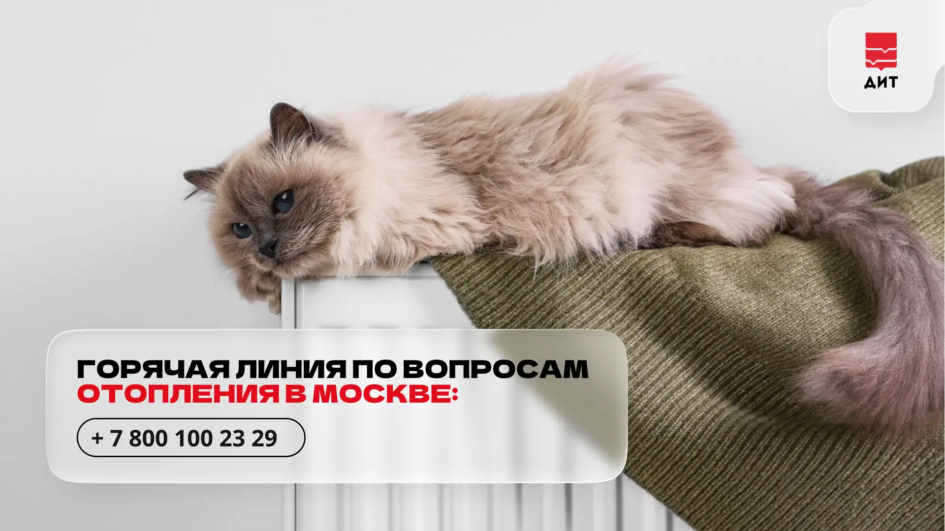 ⚡ В Москве работает горячая линия по вопросам отопления