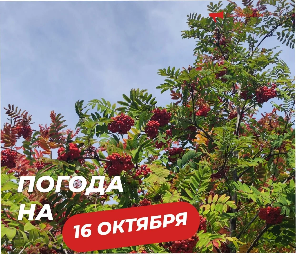 ПОГОДА на сегодня в Ставрополе: