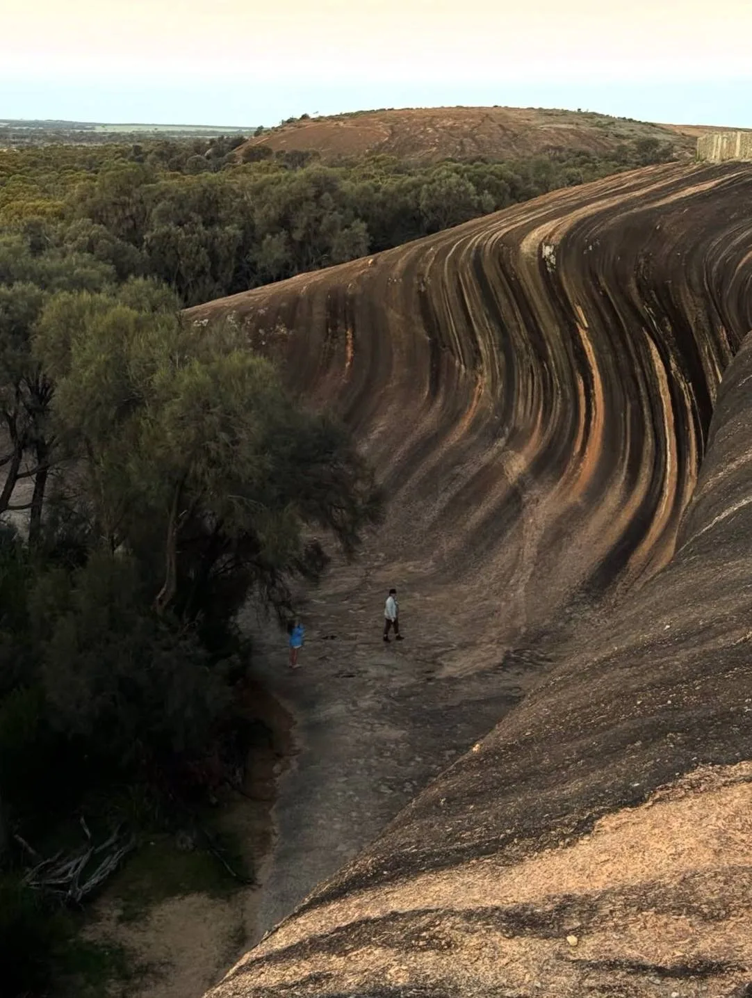 🇦🇺 Wave Rock — каменная волна Австралии