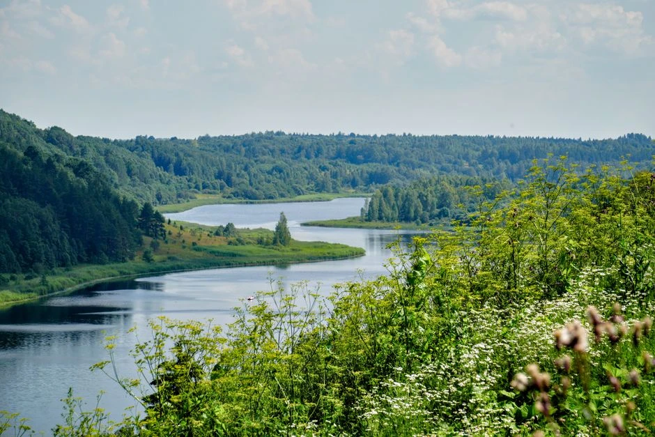 🏝️ Джим Керри продаёт виллу на Гавайях за $35 млн