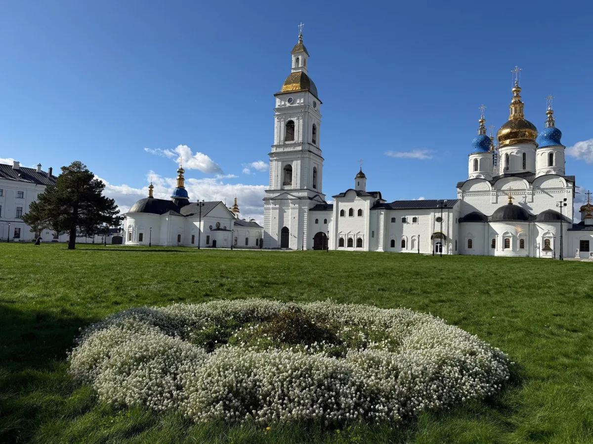 ☁️ Облако на траве