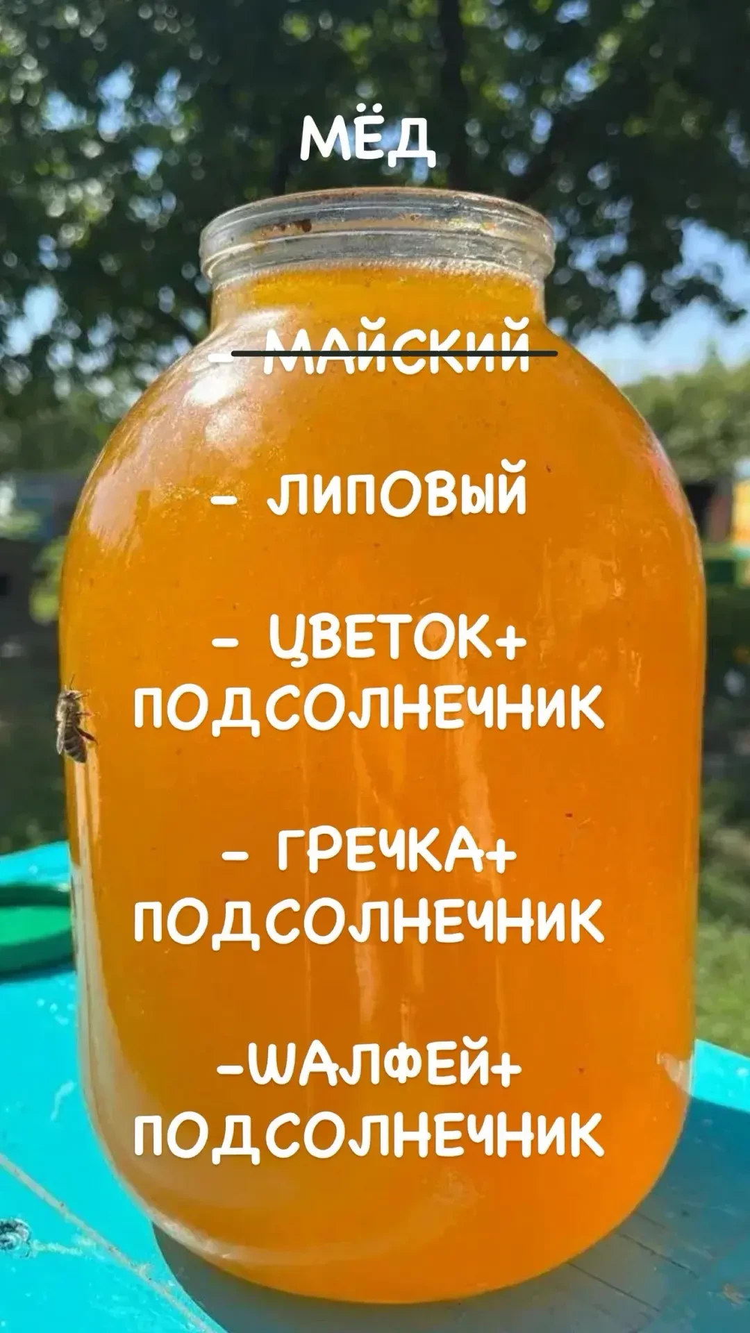 Здравствуйте ☀️