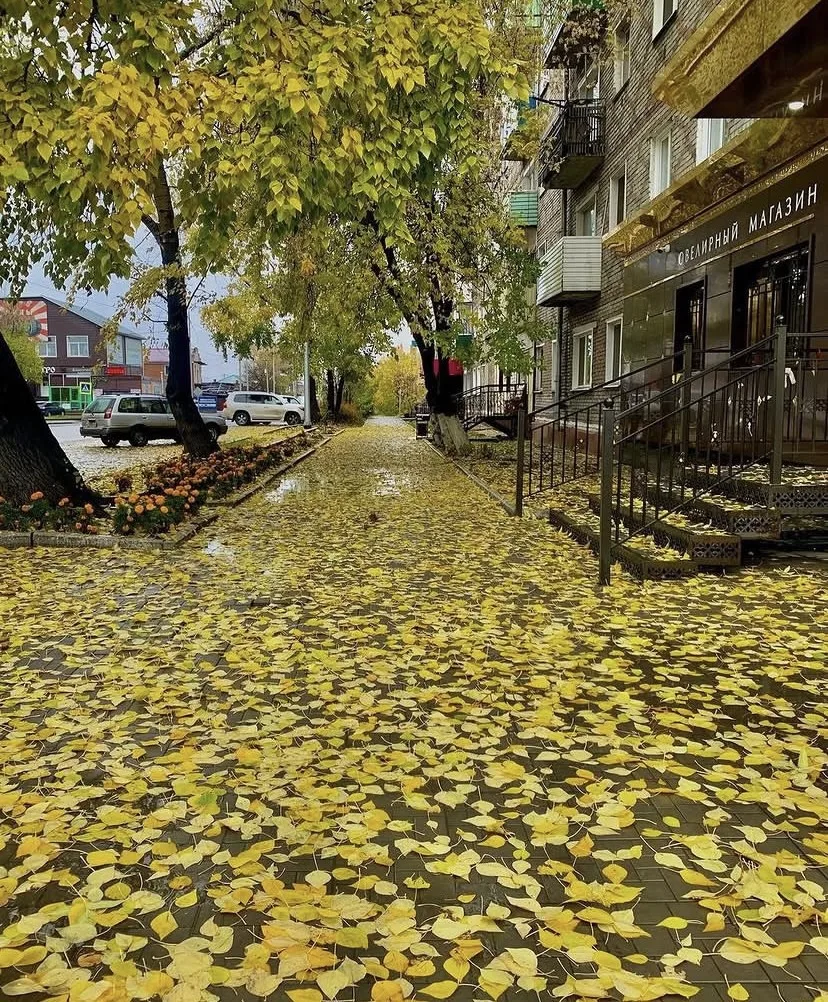Самое красивое время года 😍