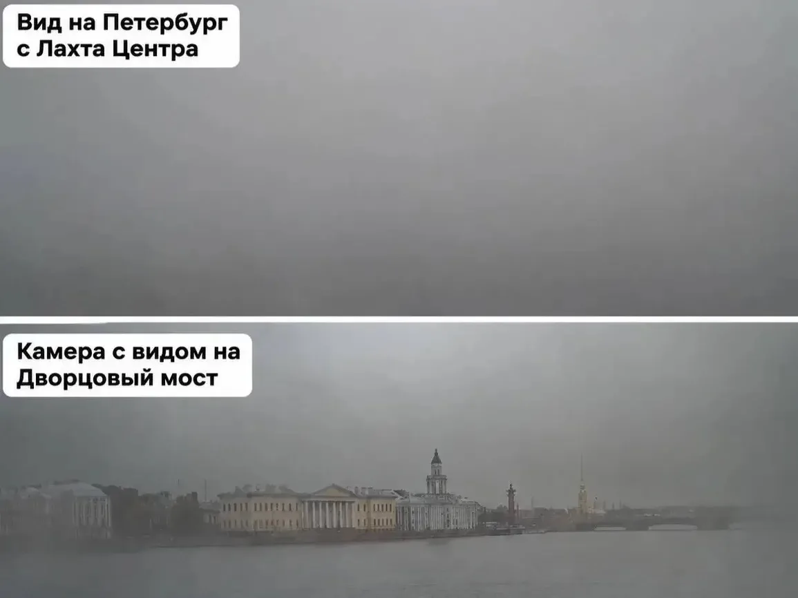 🤭 Яркие краски осеннего Петербурга