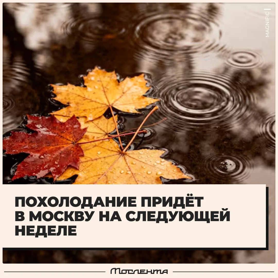 🍂 Глубокая осень придёт в столицу уже в середине следующей недели.