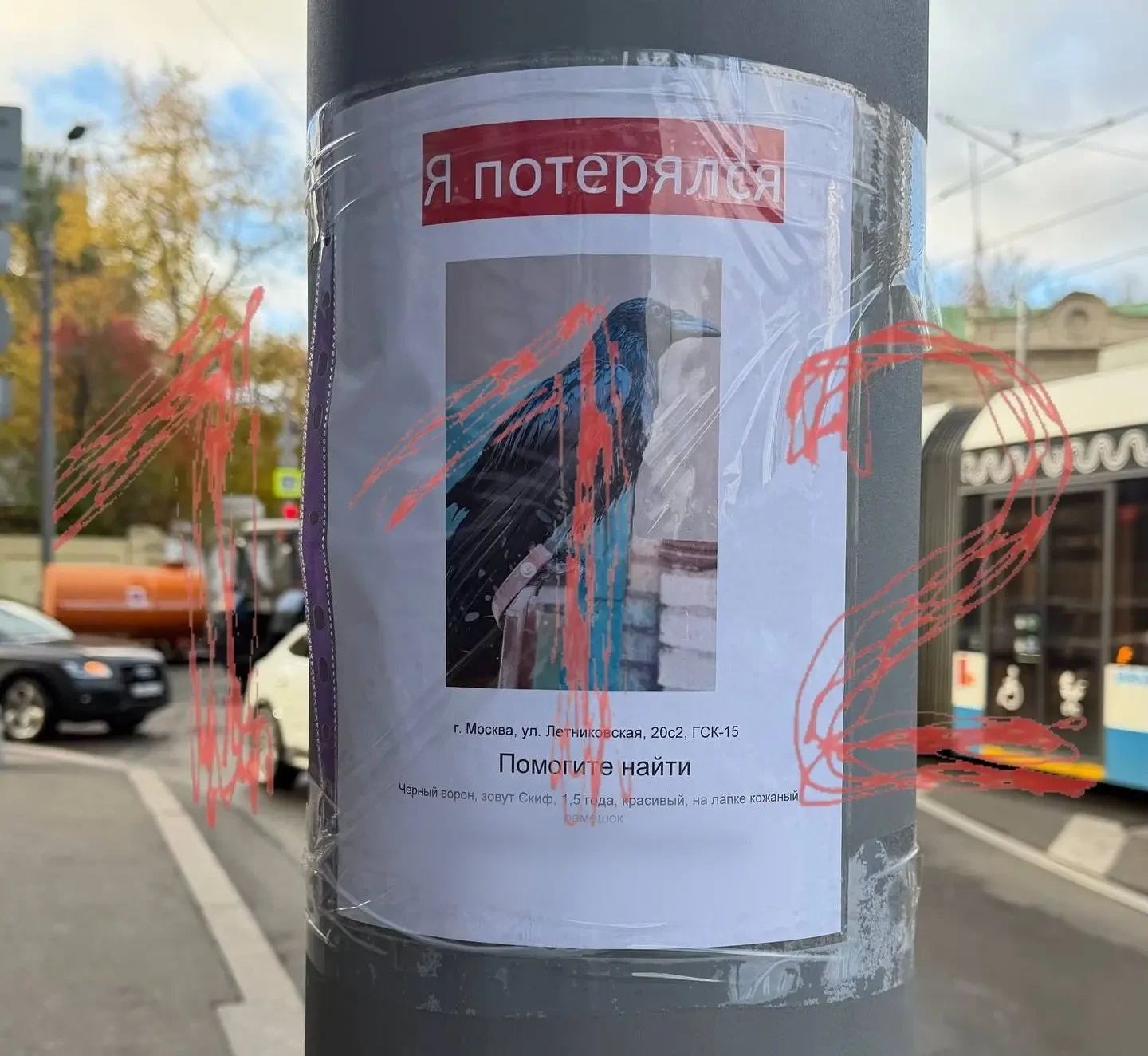 Из гаражного кооператива в Москве украли ворона-байкера