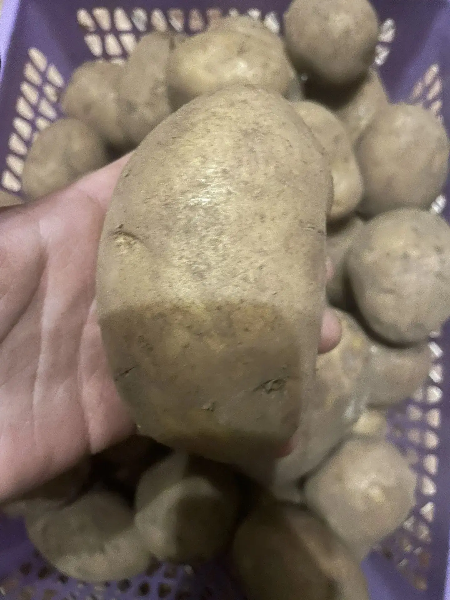 Продам картофель с доставкой на дом
