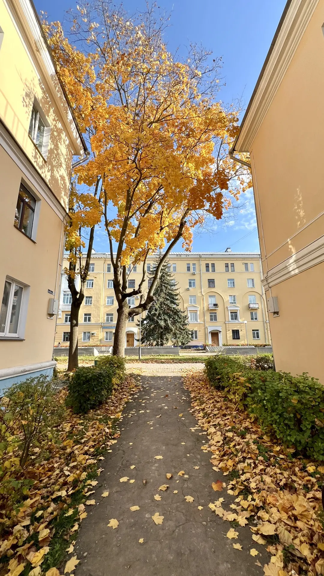Не могу налюбоваться 💛