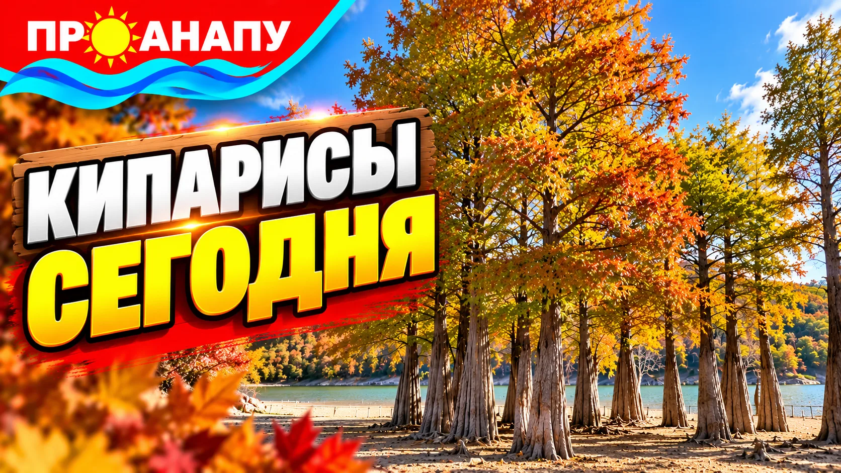 Кипарисы сегодня 🌳 рыженькие еще, к ноябрю покраснеют .