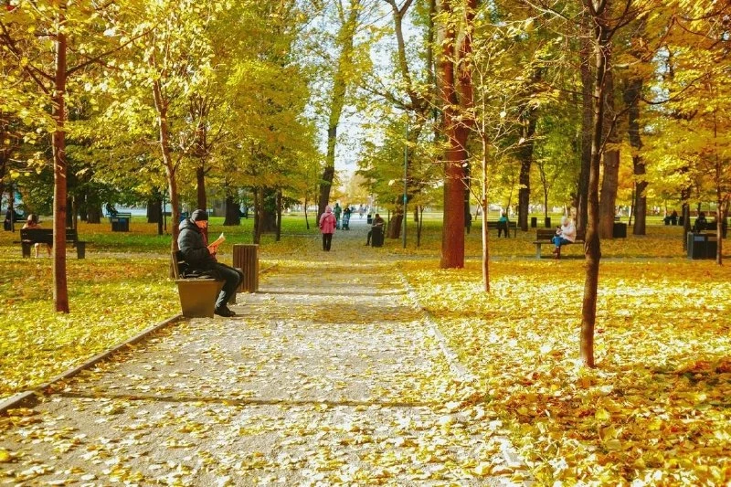 🌿 Золотая осень в парке «Таганский»