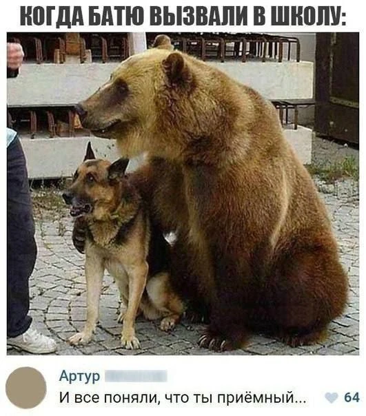 Мемы каждый день • Подписаться