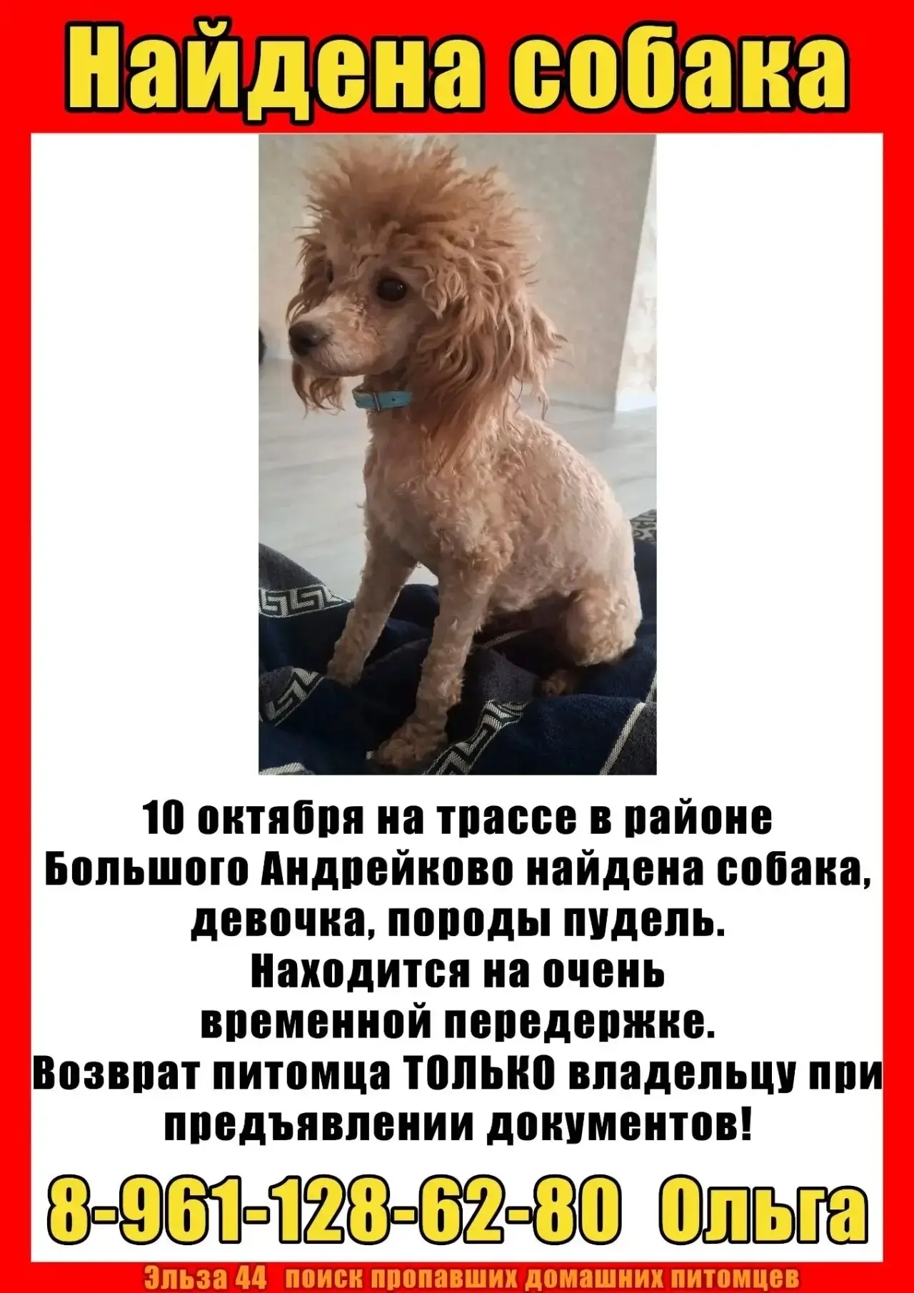 https://max.ru/channel_dtpkostroma