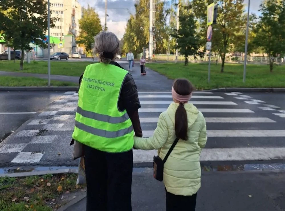 🚦В Костроме растёт число родителей, которые помогают школьникам безопасно переходить д...