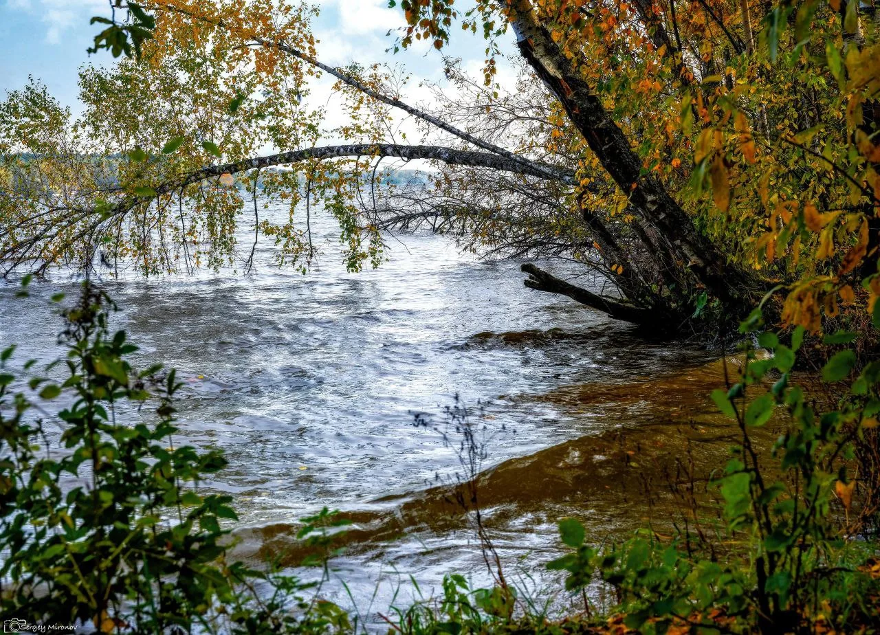 Клязьминское водохранилище осенью 🍁