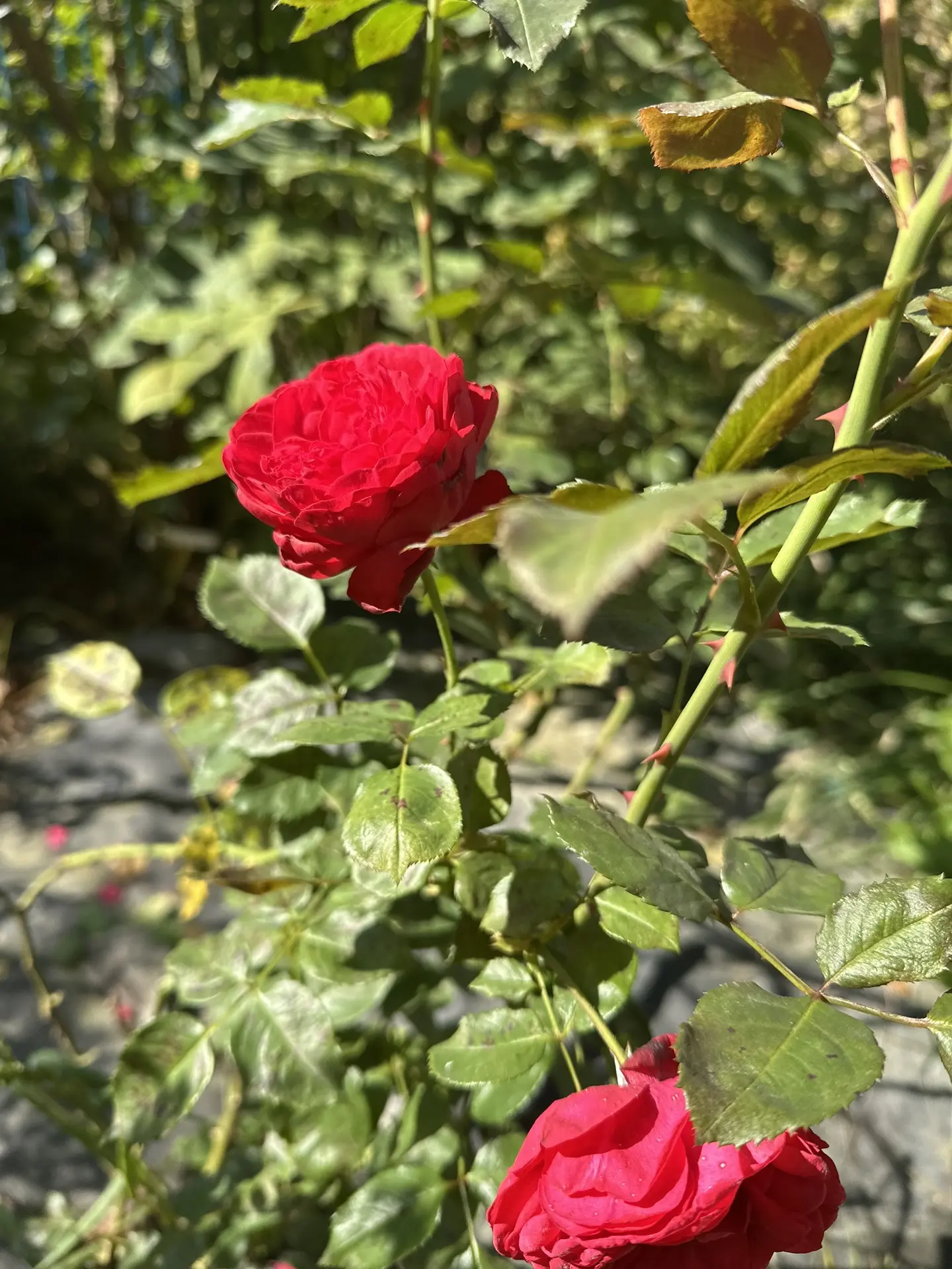 Каждому из вас начислили новые 24 часа 💔 и как они у вас пройдут - зависит только от в...