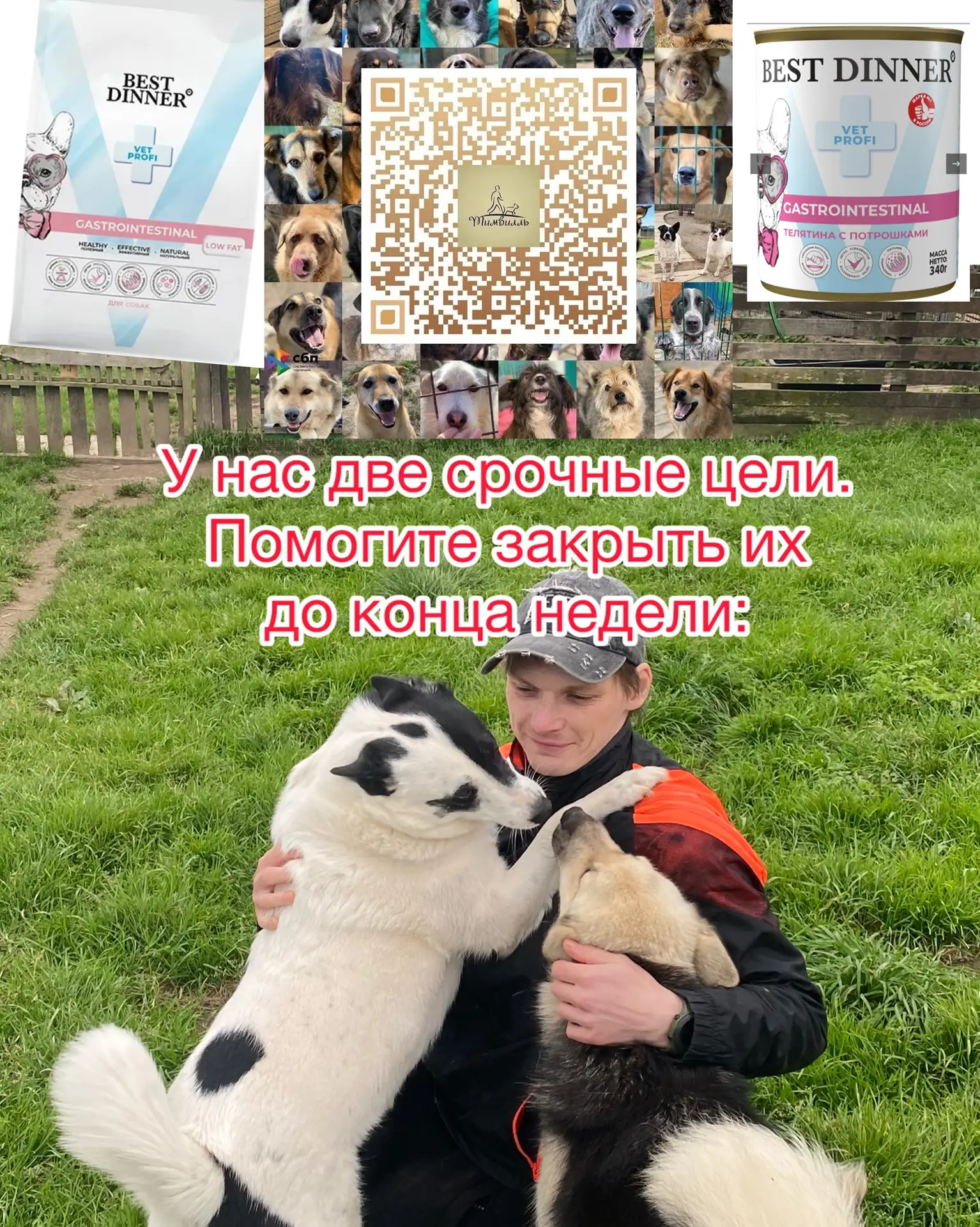 Две главные задачи на эту неделю: Максим и спецкорм