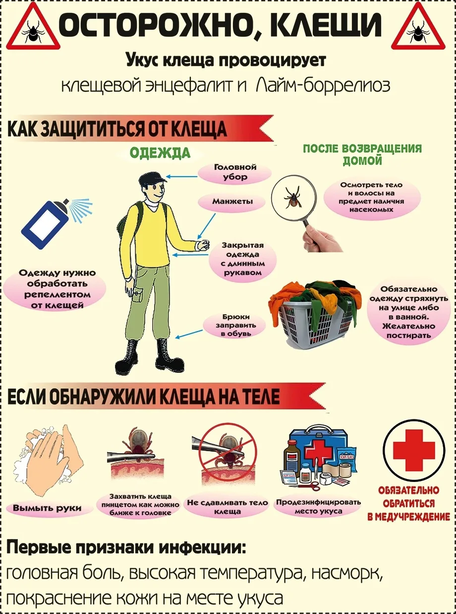 ‼️МЕРЫ ПРОФИЛАКТИКИ ‼️