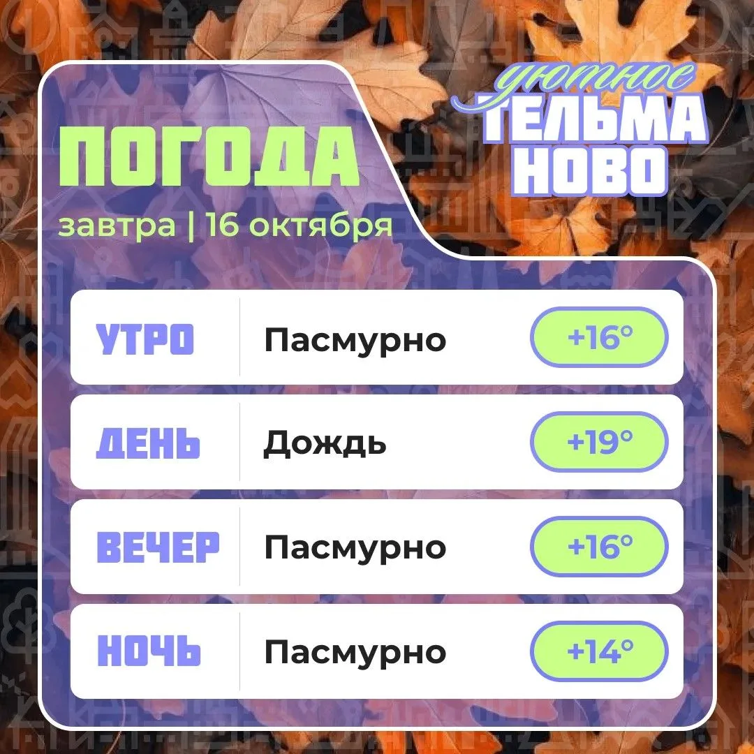 Ваш гид по погоде на завтра🌡
