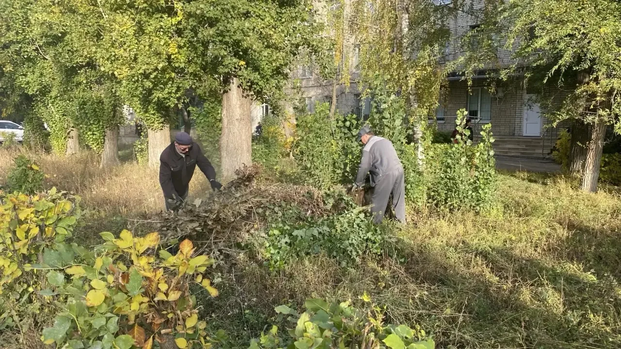 🍁Пока солнце радует глаз, в подразделениях нашей поликлиники проходит осенний субботни...