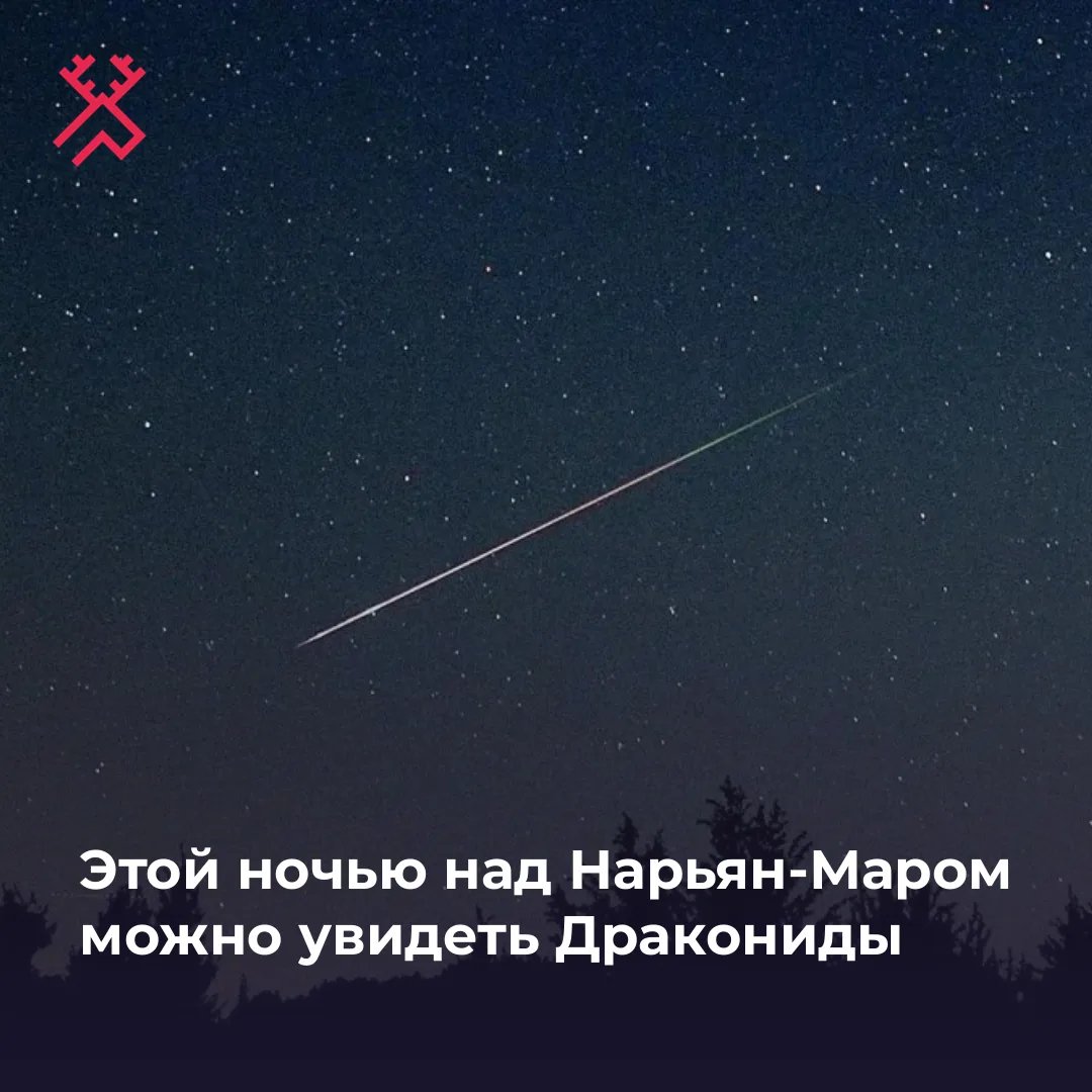 Сегодня ночью стоит почаще смотреть на небо ☄️