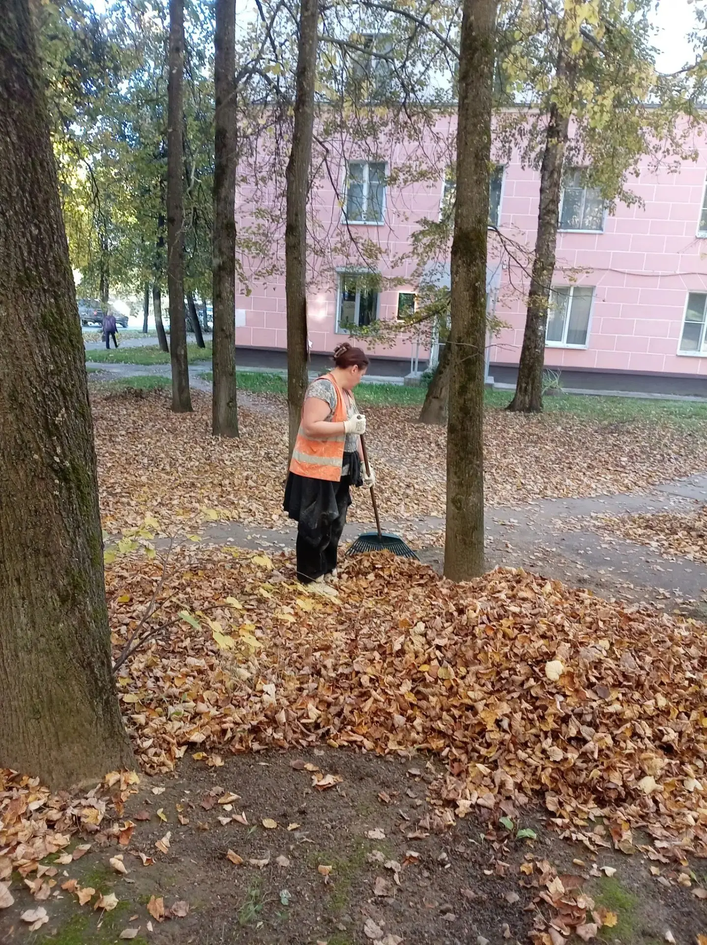 Уборка придомовых территорий